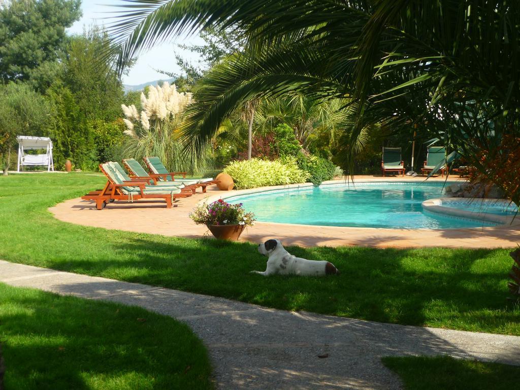 Hotel Boutique Solaz Bella Vista De Colchagua 圣克鲁兹 外观 照片