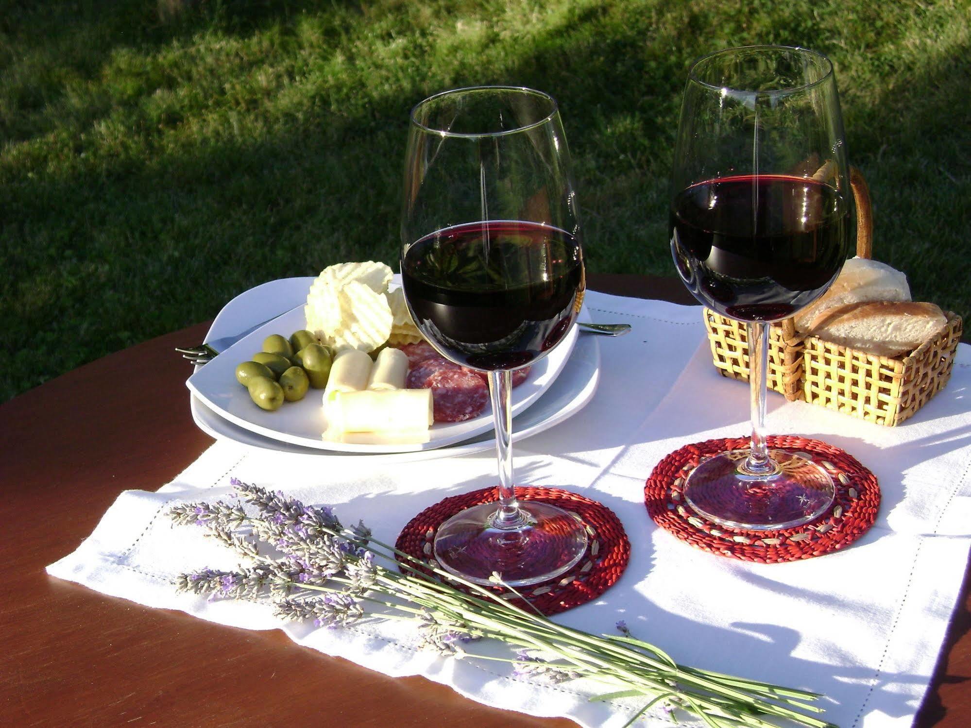 Hotel Boutique Solaz Bella Vista De Colchagua 圣克鲁兹 外观 照片